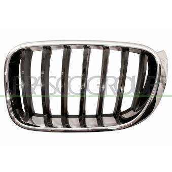 Grille de radiateur PRASCO [BM8062004]
