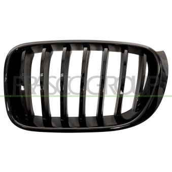 Grille de radiateur PRASCO [BM8072004]