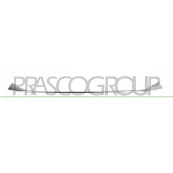 Baguette et bande protectrice, pare-chocs PRASCO BM8081811