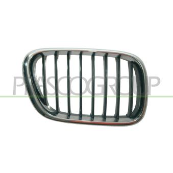 Grille de radiateur avant droit PRASCO OEM 51138402646