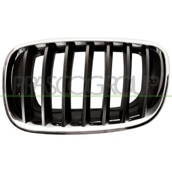 Grille de radiateur PRASCO [BM8222004]