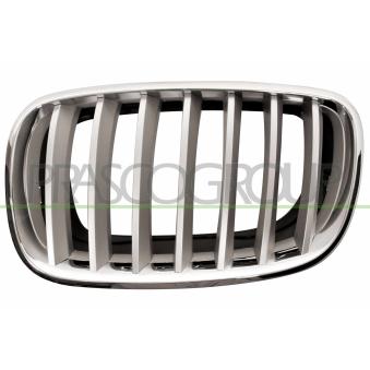 Grille de radiateur PRASCO [BM8222014]