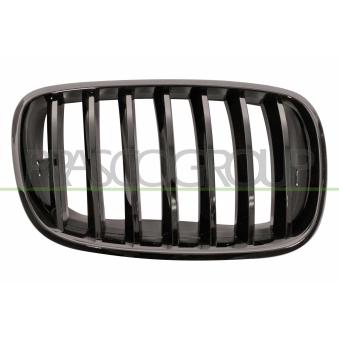 Grille de radiateur PRASCO [BM8232003]
