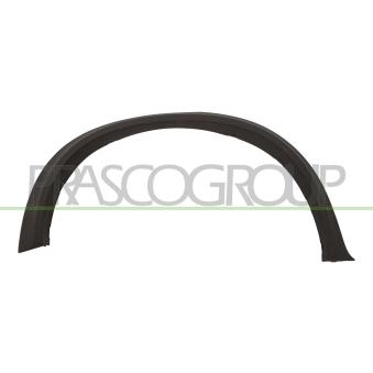 Baguette et bande protectrice, aile arrière droit PRASCO BM8241583