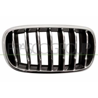 Grille de radiateur PRASCO BM8262013 pour BMW X5 xDrive 25 d - 231cv Grille de radiateur PRASCO BM8262013 pour BMW X5 xDrive 25 d - 231cv