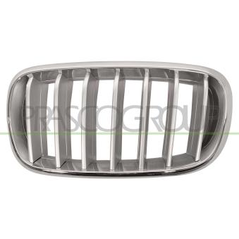 Grille de radiateur PRASCO BM8262024 pour BMW X5 xDrive 25 d - 231cv Grille de radiateur PRASCO BM8262024 pour BMW X5 xDrive 25 d - 231cv