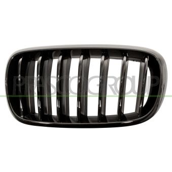 Grille de radiateur PRASCO BM8272004 pour BMW X5 xDrive 25 d - 231cv Grille de radiateur PRASCO BM8272004 pour BMW X5 xDrive 25 d - 231cv