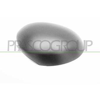 Revêtement, rétroviseur extérieur PRASCO OEM 879150H901