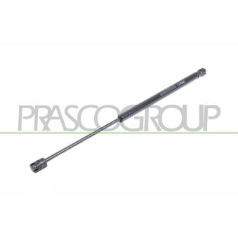Vérin de hayon, de coffre PRASCO [CI3049055]