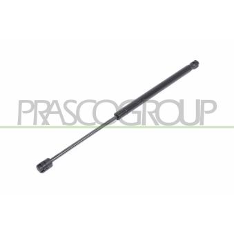 Vérin de hayon, de coffre PRASCO [CI3209055]