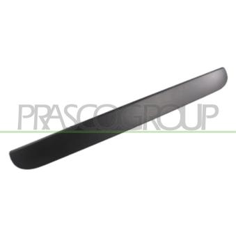 Poignée extérieure de porte PRASCO DG0058341