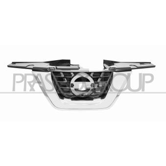 Grille de radiateur PRASCO DS7022011