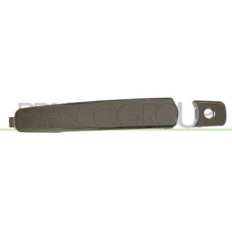 Poignée extérieure de porte avant gauche PRASCO OEM 80645CA000