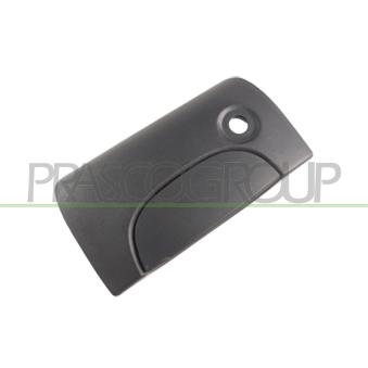 Poignée extérieure de porte PRASCO [DS9178341]