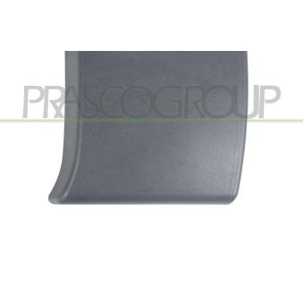 Baguette et bande protectrice, porte avant gauche PRASCO [DS9521416]