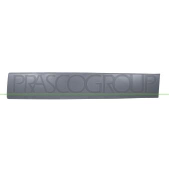 Baguette et bande protectrice, porte avant gauche PRASCO DS9521454