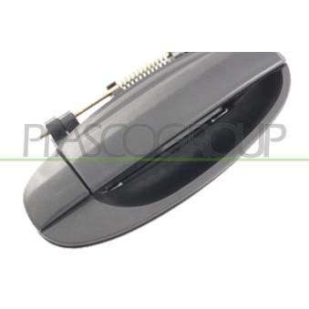 Poignée extérieure de porte arrière droit PRASCO [DW3268101]