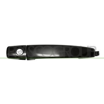 Poignée extérieure de porte PRASCO DW7208004