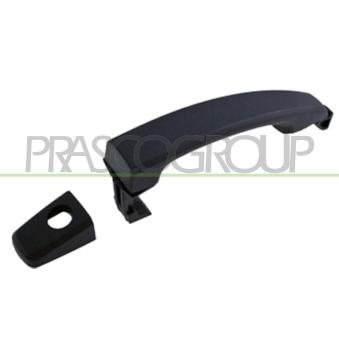 Poignée extérieure de porte PRASCO DW7208008