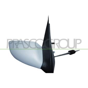 Rétroviseur extérieur PRASCO OEM 1055397