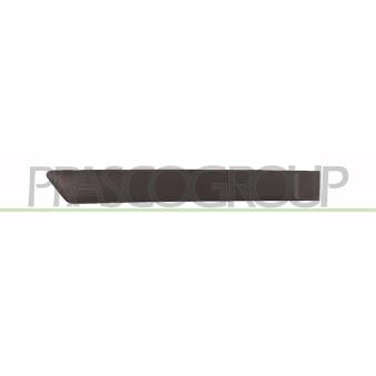 Baguette et bande protectrice, porte arrière droit PRASCO OEM 1220959