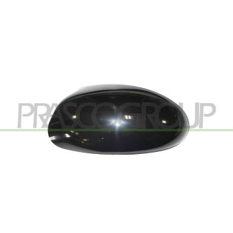 Revêtement, rétroviseur extérieur PRASCO FD4207404