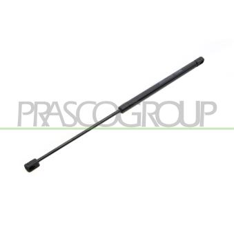 Vérin de hayon, de coffre PRASCO OEM 1079800