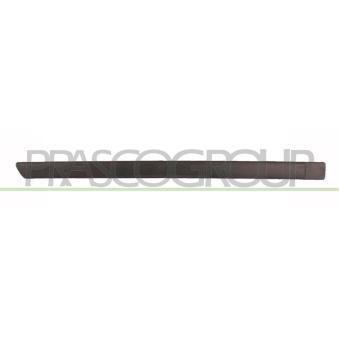 Baguette et bande protectrice, porte arrière droit PRASCO FD4241453