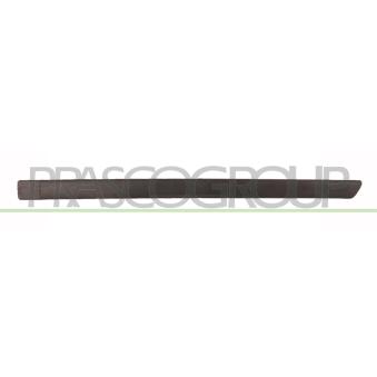 Baguette et bande protectrice, porte arrière gauche PRASCO FD4241454