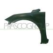 PRASCO FD4263004 - Aile avant gauche