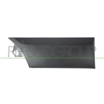Baguette et bande protectrice, aile arrière droit PRASCO FD9131465