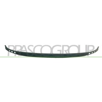 Spoiler PRASCO OEM 4486165