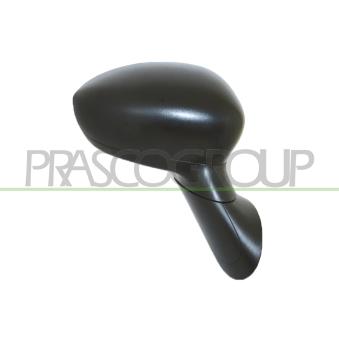 Rétroviseur extérieur PRASCO [FT0307303P]