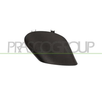 Cache, fixation retro exterieur PRASCO [FT0307401]