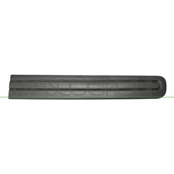 Baguette et bande protectrice, porte avant droit PRASCO FT0401403