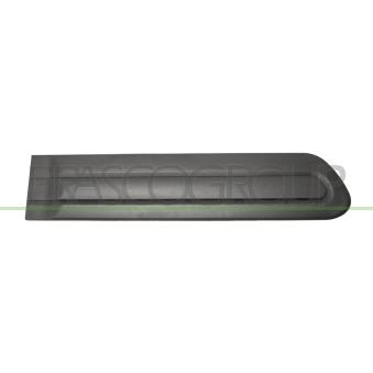 Baguette et bande protectrice, porte arrière droit PRASCO FT0401453