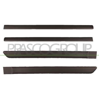 Baguette et bande protectrice, porte PRASCO OEM 735518752