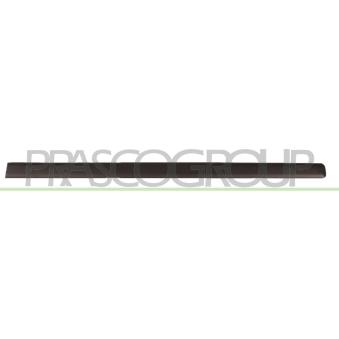 Baguette et bande protectrice, porte avant droit PRASCO OEM 735518752