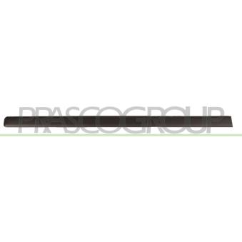 Baguette et bande protectrice, porte avant gauche PRASCO OEM 735518751