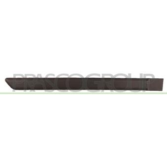 Baguette et bande protectrice, porte arrière droit PRASCO FT1221453 pour FIAT PANDA 1.2 GPL - 60cv