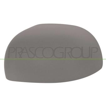 Revêtement, rétroviseur extérieur PRASCO OEM 735516573