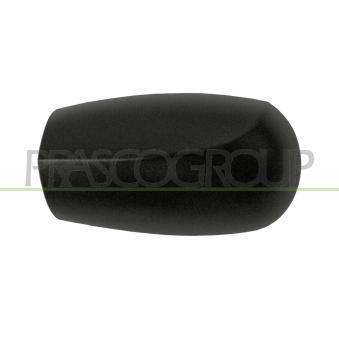 Revêtement, rétroviseur extérieur PRASCO FT1337404