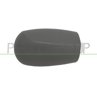 Revêtement, rétroviseur extérieur PRASCO FT1337413