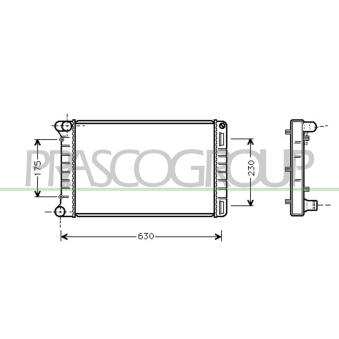 Radiateur, refroidissement du moteur PRASCO [FT133R005]