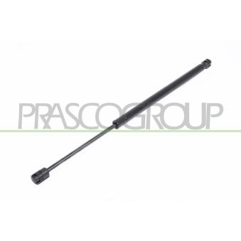 Vérin de hayon, de coffre PRASCO FT3409065 pour FIAT PUNTO 1.2 16V 80 - 80cv