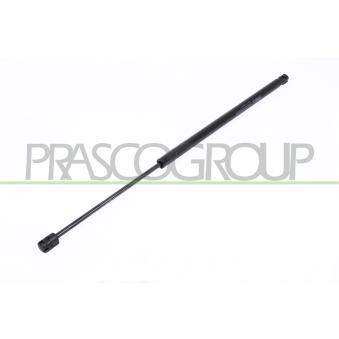 Vérin de hayon, de coffre PRASCO FT4209085 pour FIAT STILO 1.9 D Multijet - 150cv