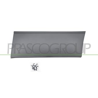 Baguette et bande protectrice, aile arrière gauche PRASCO FT9001456