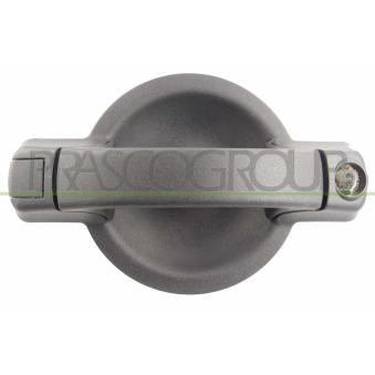Poignée extérieure de porte arrière droit PRASCO OEM 735296050