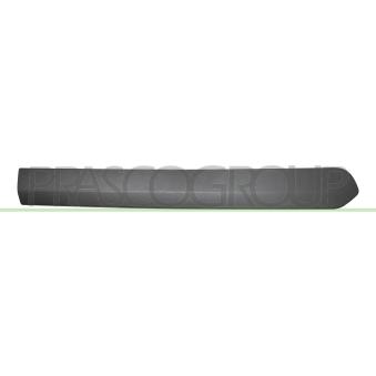 Baguette et bande protectrice, porte arrière droit PRASCO FT9101453
