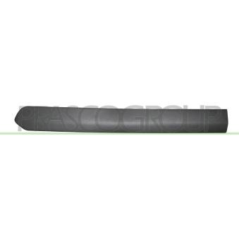 Baguette et bande protectrice, porte arrière gauche PRASCO FT9101454 pour FIAT DOBLO 1.4 - 95cv
